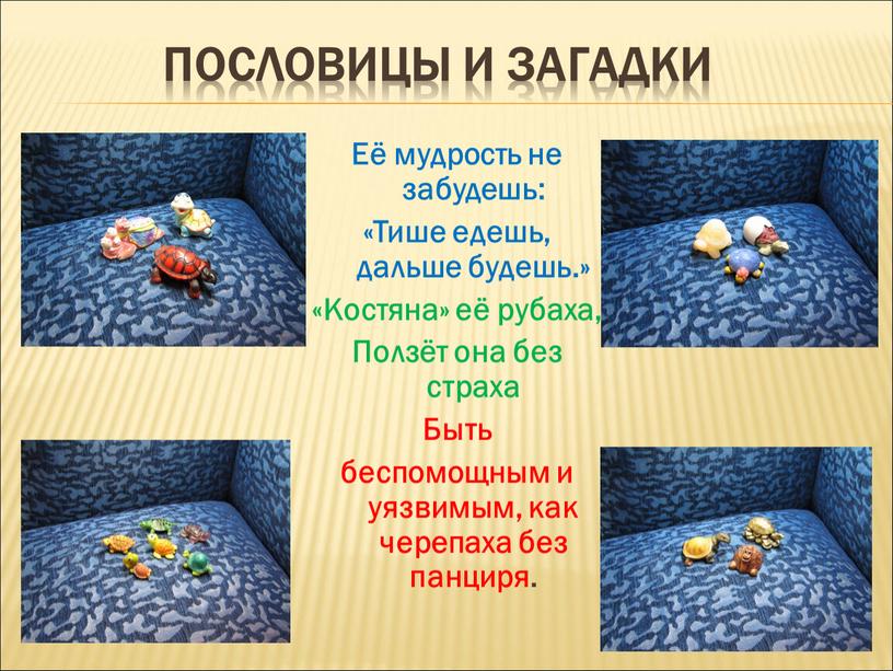 Пословицы и загадки Её мудрость не забудешь: «Тише едешь, дальше будешь