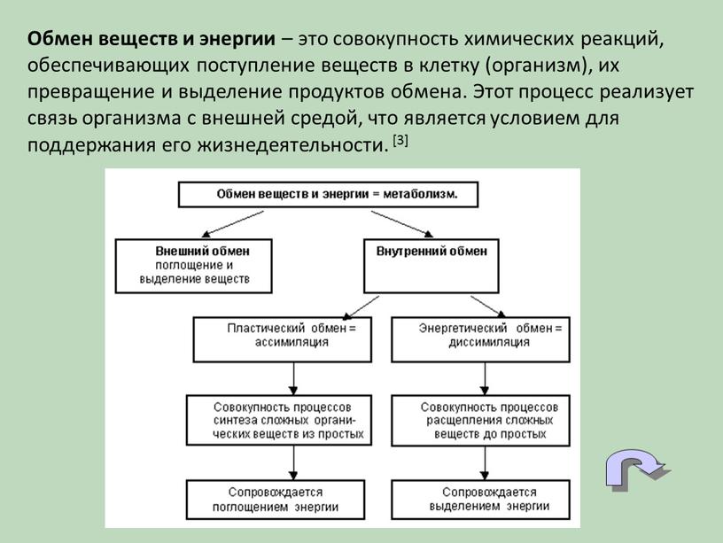 Обмен веществ и энергии – это совокупность химических реакций, обеспечивающих поступление веществ в клетку (организм), их превращение и выделение продуктов обмена