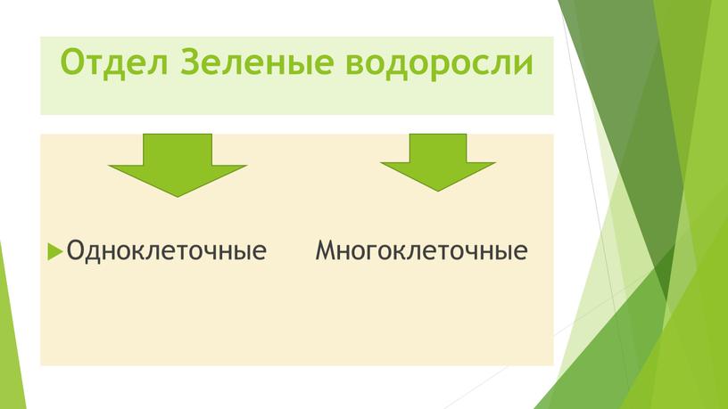 Отдел Зеленые водоросли Одноклеточные