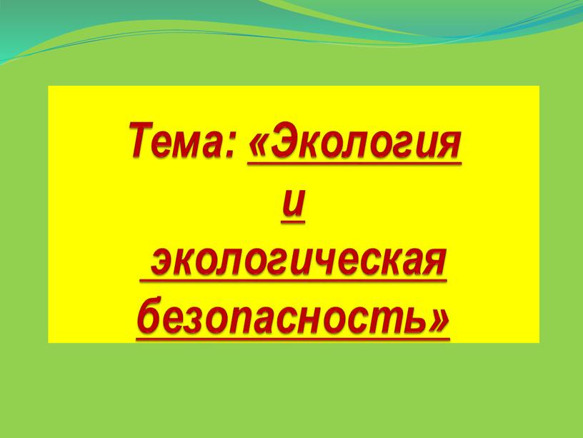 Тема: «Экология и экологическая безопасность»