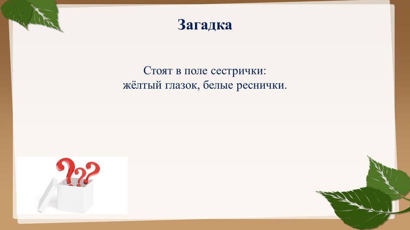 Загадка Стоят в поле сестрички: жёлтый глазок, белые реснички