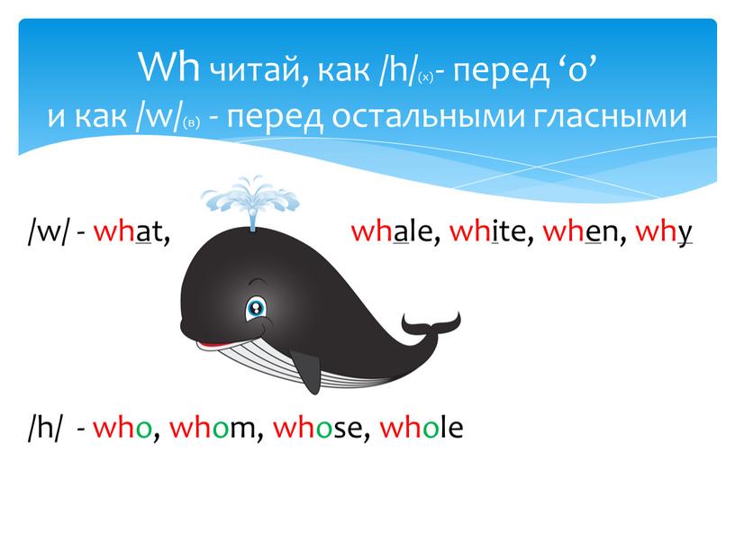 Wh читай, как /h/(х) - перед ‘o’ и как /w/(в) - перед остальными гласными /w/ - what, whale, white, when, why /h/ - who, whom,…