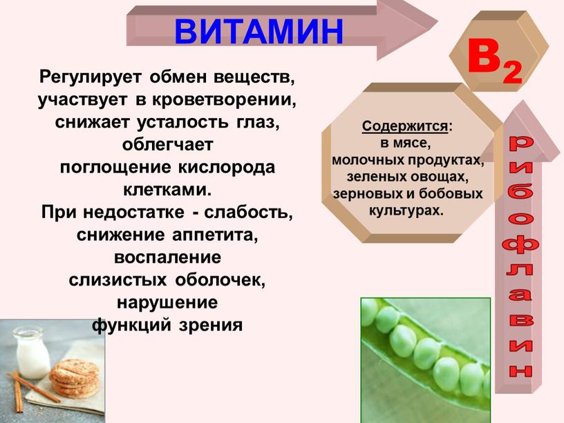 ВИТАМИН B2 рибофлавин Содержится : в мясе, молочных продуктах, зеленых овощах, зерновых и бобовых культурах