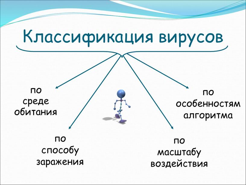 Классификация вирусов по среде обитания по особенностям алгоритма по способу заражения по масштабу воздействия