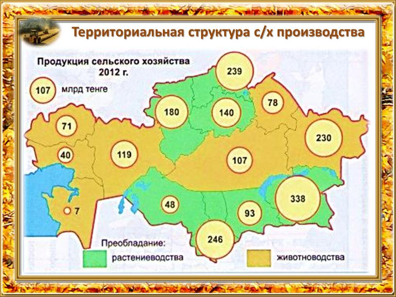 Территориальная структура с/х производства