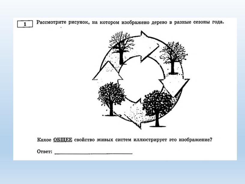 Разбор заданий №1 ОГЭ биология из сборника В.С.Рохлова