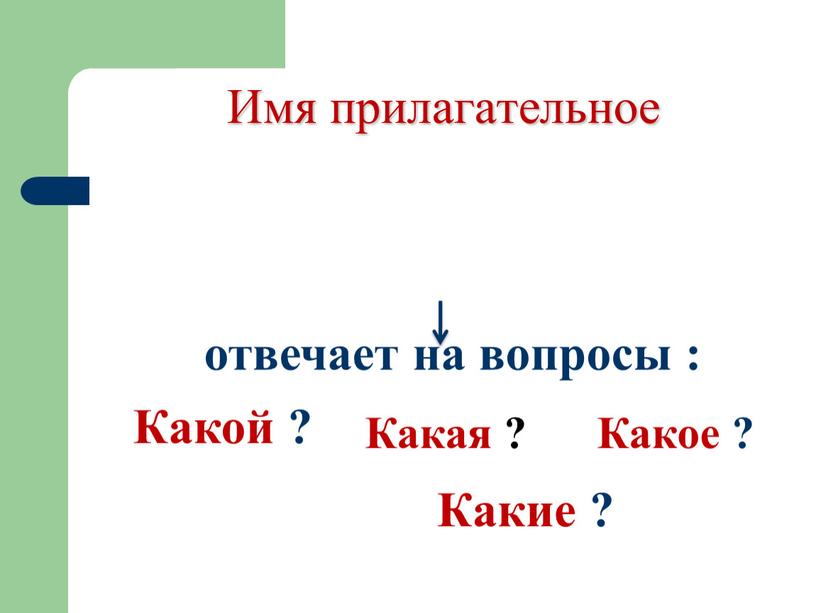 Какие ? Какое ? Какая ? Какой ? отвечает на вопросы :