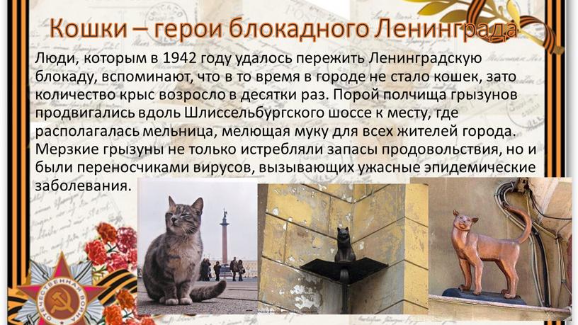 Кошки – герои блокадного Ленинграда