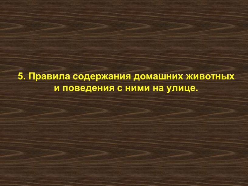 Правила содержания домашних животных и поведения с ними на улице