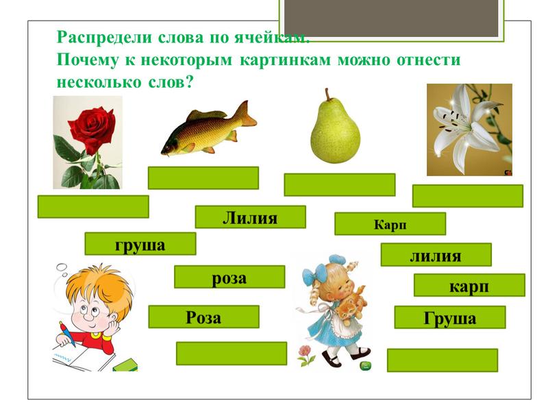 Распредели слова по ячейкам.