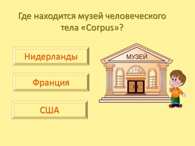 Где находится музей человеческого тела «Corpus»?