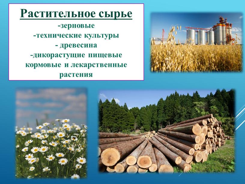 Растительное сырье -зерновые -технические культуры - древесина -дикорастущие пищевые кормовые и лекарственные растения