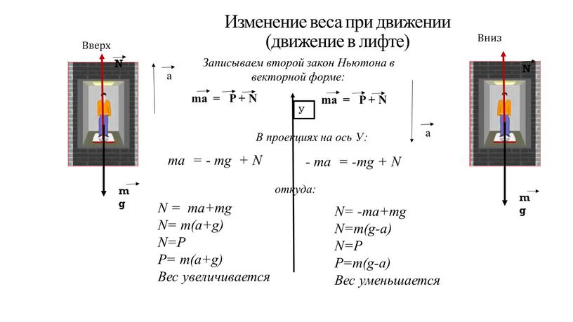 Изменение веса при движении (движение в лифте)