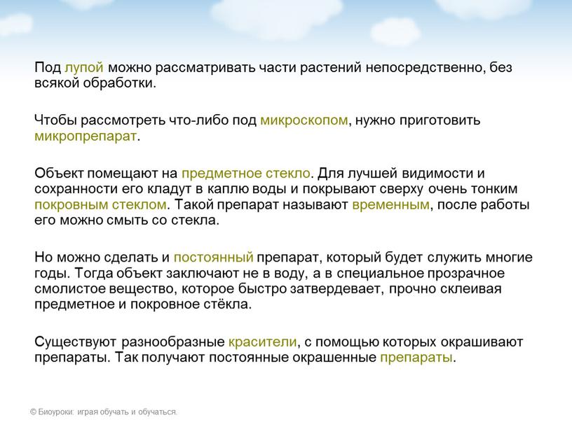 Под лупой можно рассматривать части растений непосредственно, без всякой обработки