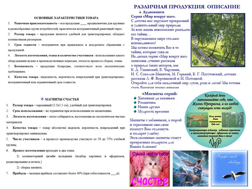 ИЗ ОПЫТА СОЗДАНИЯ ПРАКТИКО-ОРИЕНТИРОВАННЫХ ИНДИВИДУАЛЬНЫХ ПРОЕКТОВ