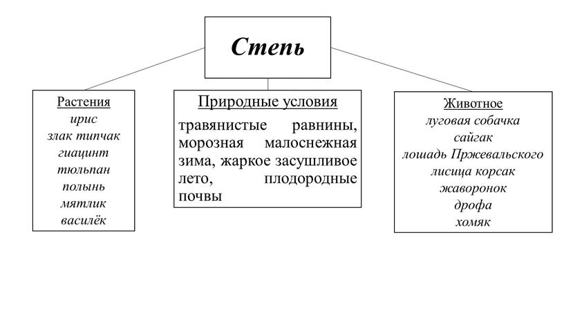 Степь Природные условия травянистые равнины, морозная малоснежная зима, жаркое засушливое лето, плодородные почвы