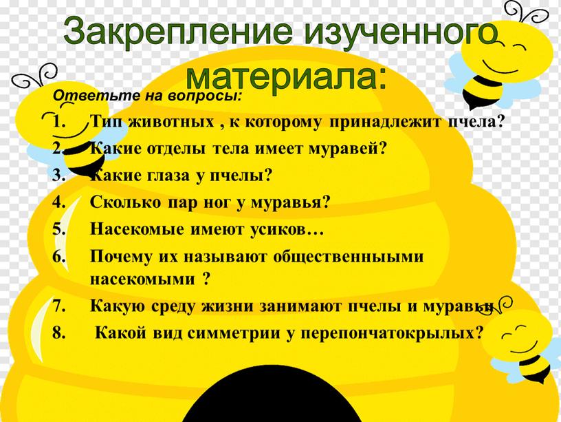 Закрепление изученного материала: