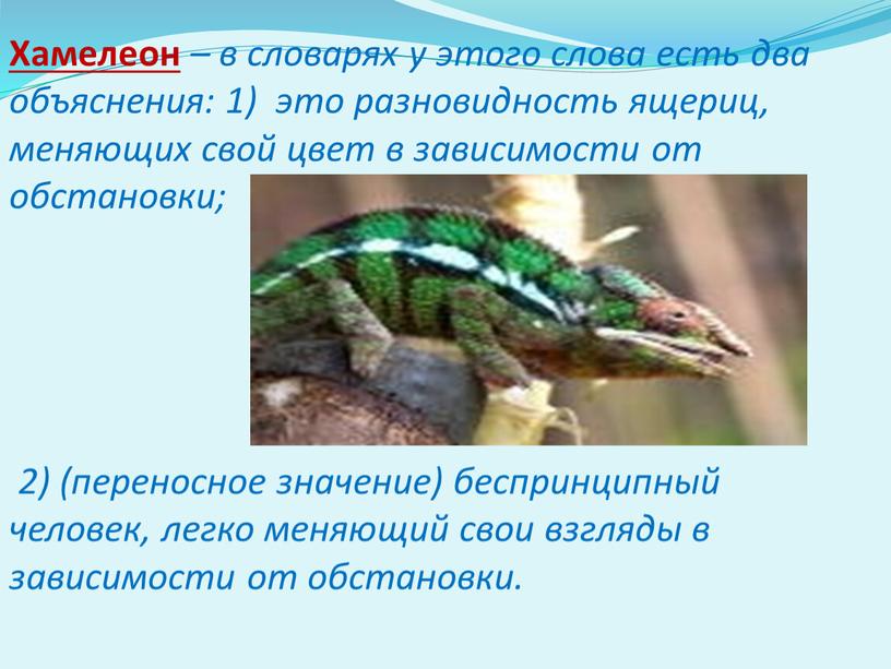 Хамелеон – в словарях у этого слова есть два объяснения: 1) это разновидность ящериц, меняющих свой цвет в зависимости от обстановки; 2) (переносное значение) беспринципный…