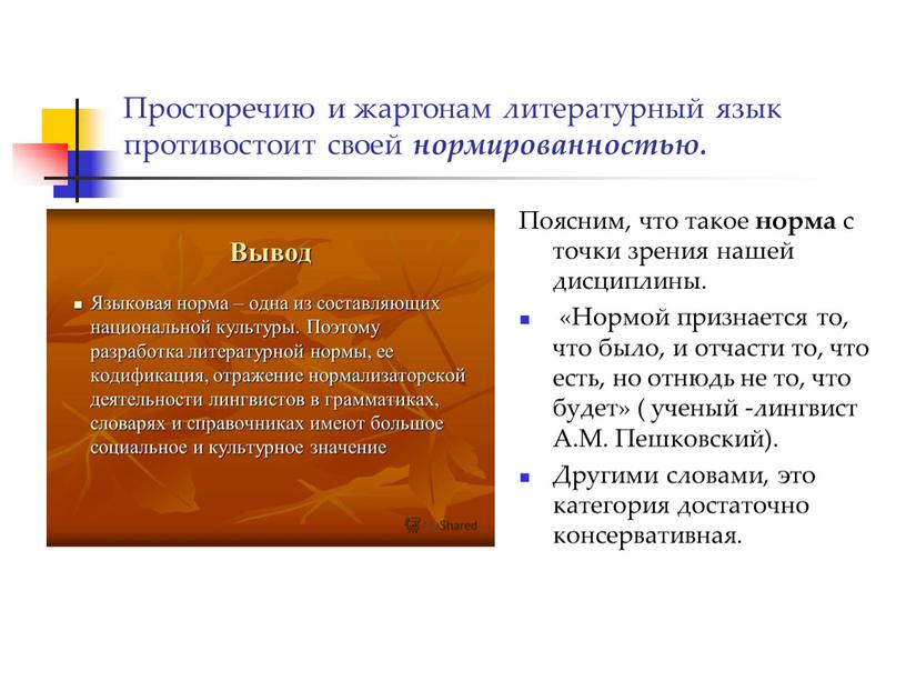 Просторечию и жаргонам литературный язык противостоит своей нормированностью