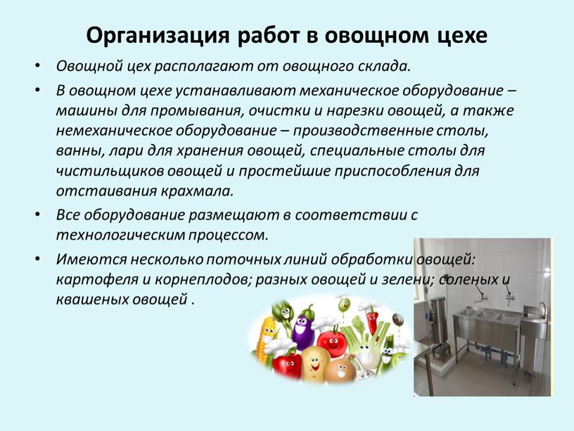 Организация работ в овощном цехе