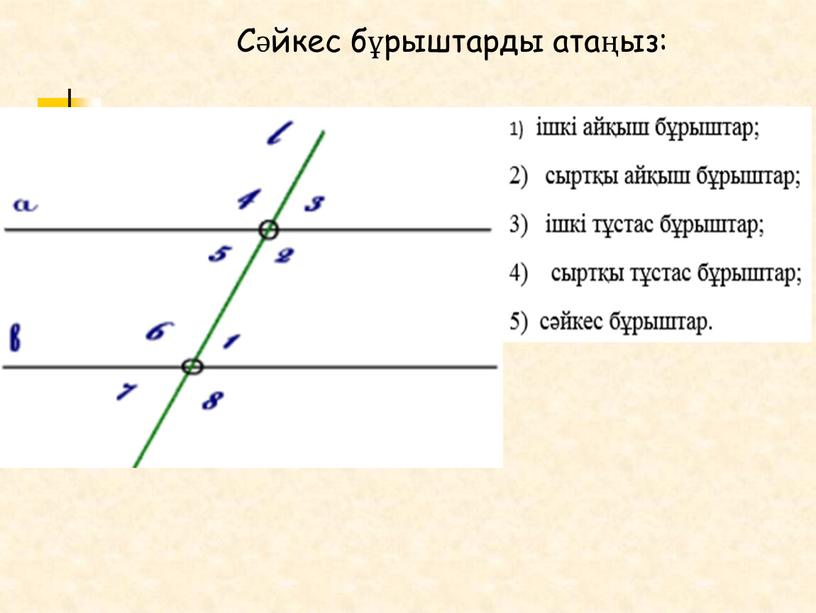 Сәйкес бұрыштарды атаңыз: