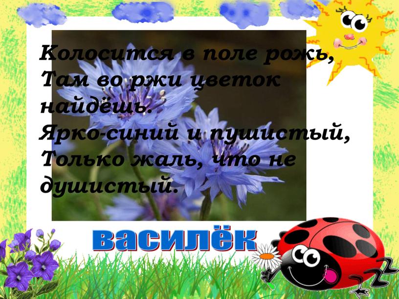 Колосится в поле рожь, Там во ржи цветок найдёшь