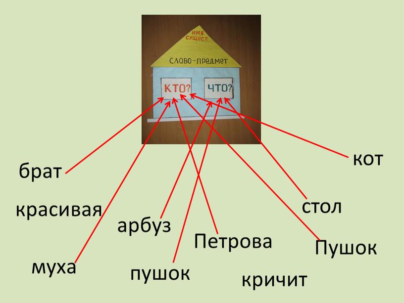 Пушок стол кот муха Петрова кричит красивая