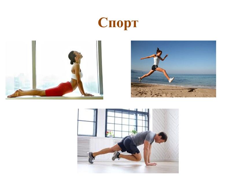 Спорт