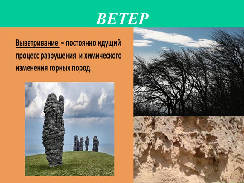 ВЕТЕР