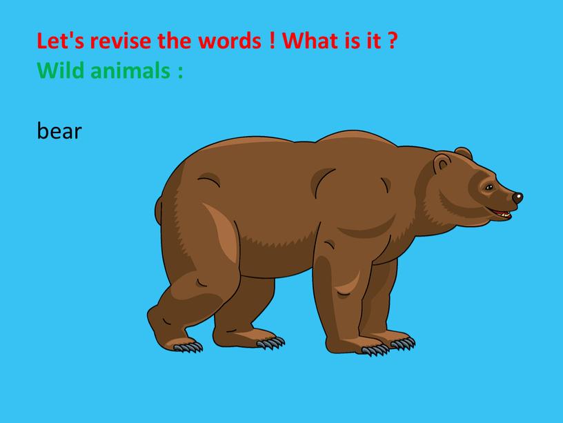 Let's revise the words ! What is it ?