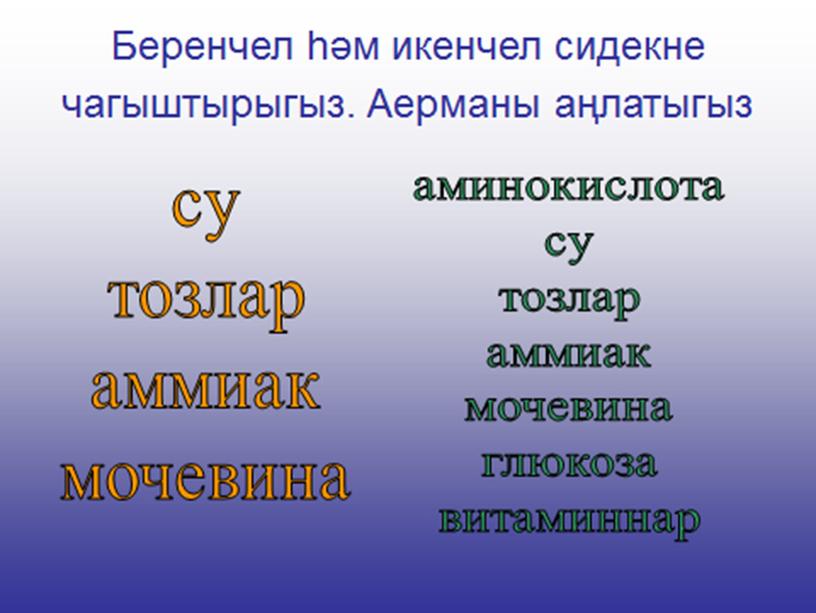 Презентация к уроку биологии в 8 классе "Органы мочевыделительной системы человека"