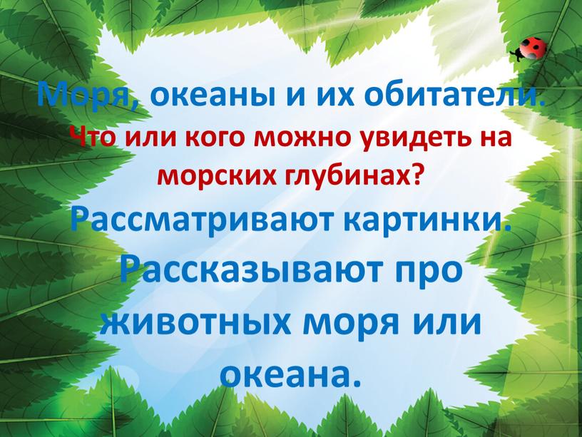 Моря, океаны и их обитатели. Что или кого можно увидеть на морских глубинах?