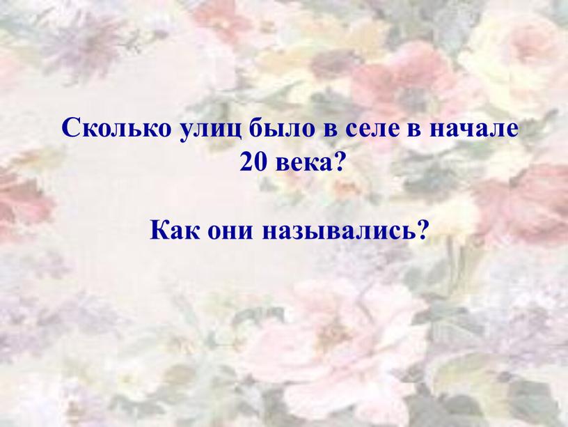 Сколько улиц было в селе в начале 20 века?