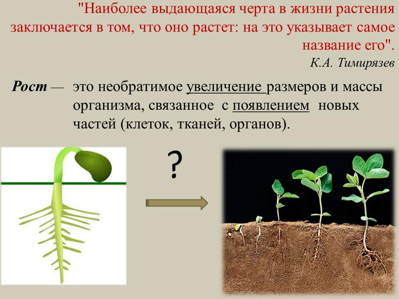 Наиболее выдающаяся черта в жизни растения заключается в том, что оно растет: на это указывает самое название его"
