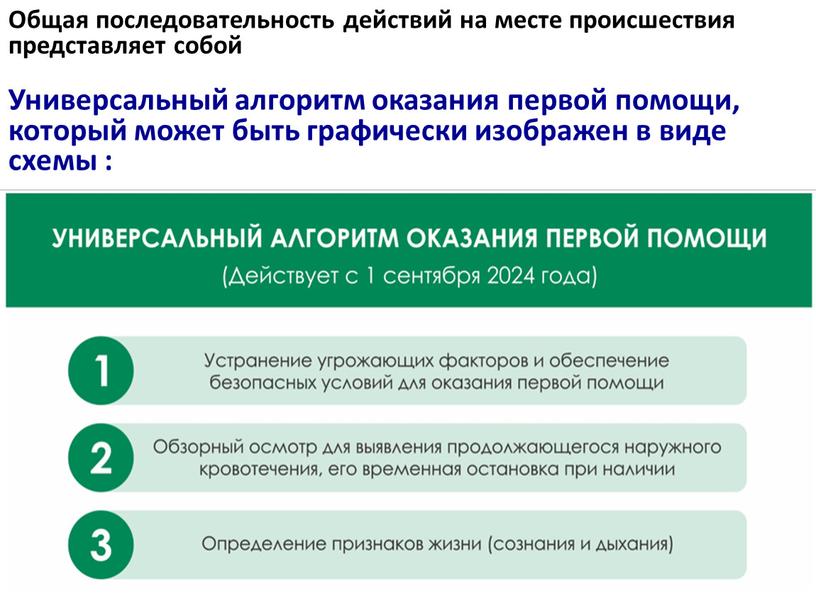 Общая последовательность действий на месте происшествия представляет собой