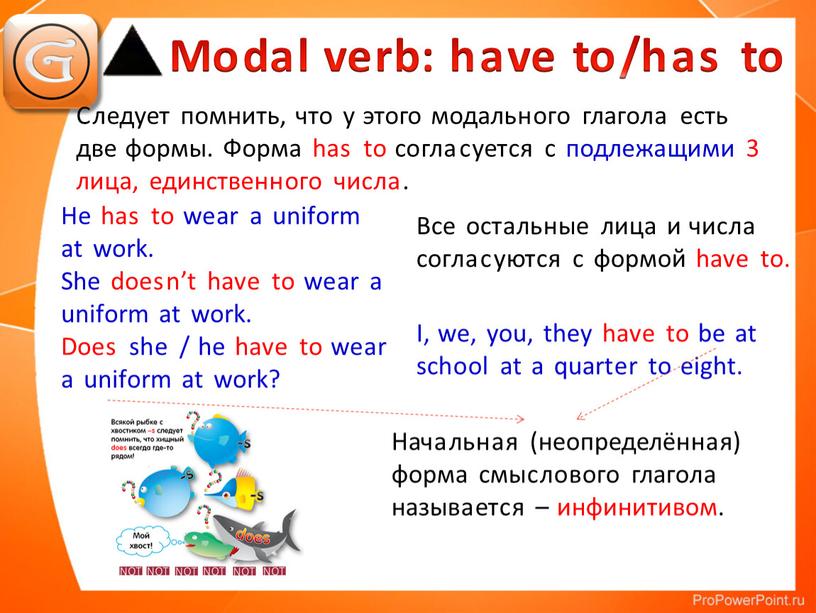 Modal verb: have to/has to He has to wear a uniform at work