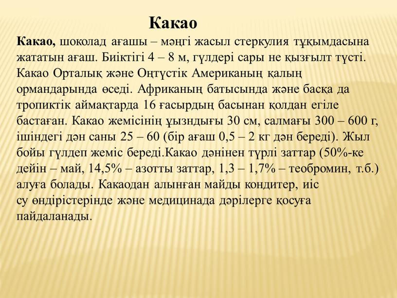 Какао Какао, шоколад ағашы – мәңгі жасыл стеркулия тұқымдасына жататын ағаш