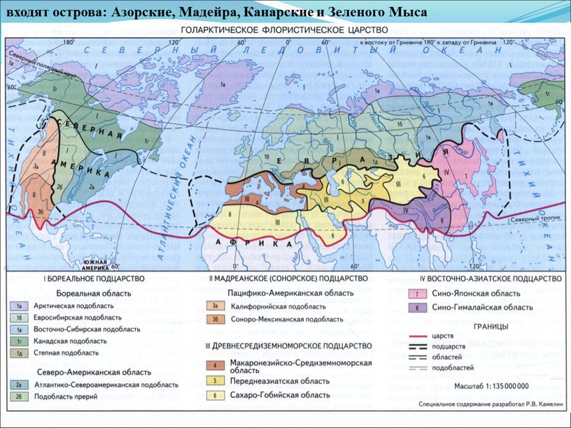 Азорские, Мадейра, Канарские и