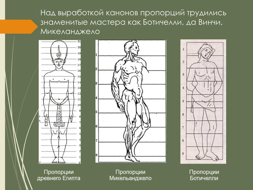 Над выработкой канонов пропорций трудились знаменитые мастера как