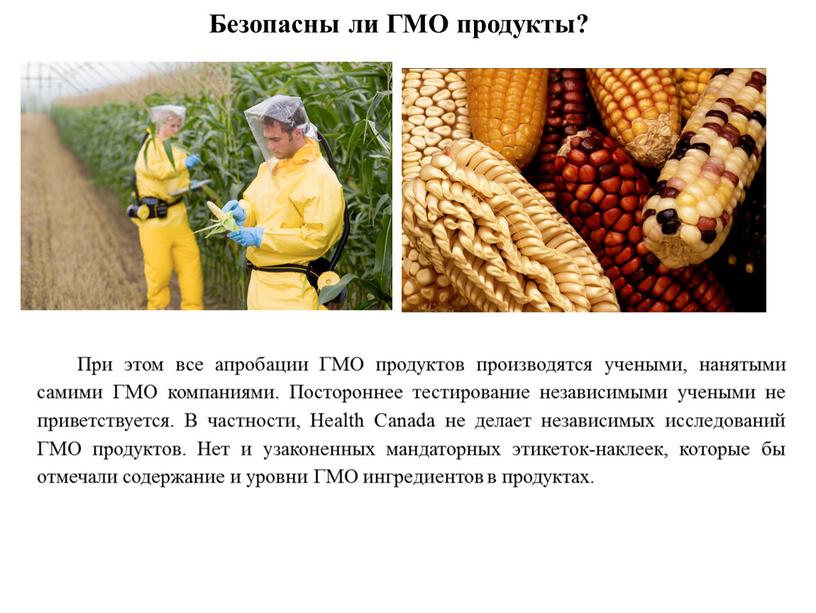 Безопасны ли ГМО продукты? При этом все апробации