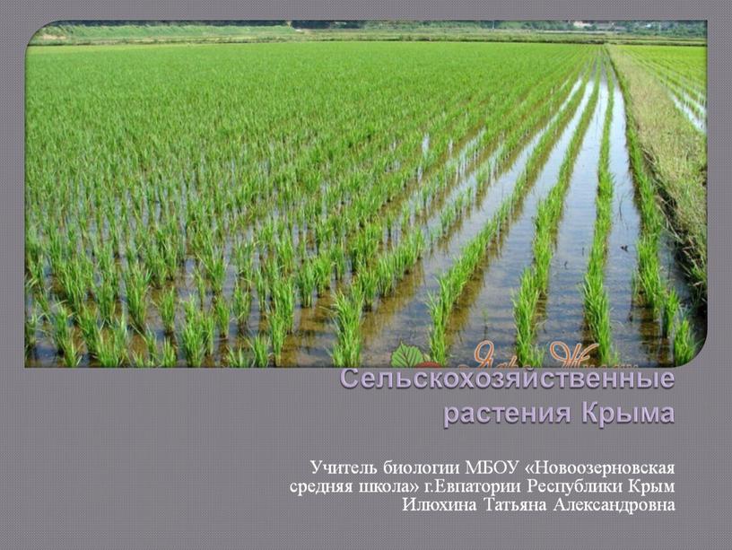 Сельскохозяйственные растения Крыма