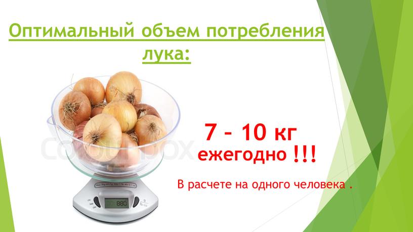 Оптимальный объем потребления лука: 7 – 10 кг ежегодно !!!