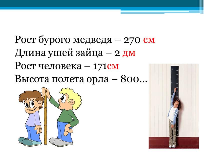 Рост бурого медведя – 270 см Длина ушей зайца – 2 дм