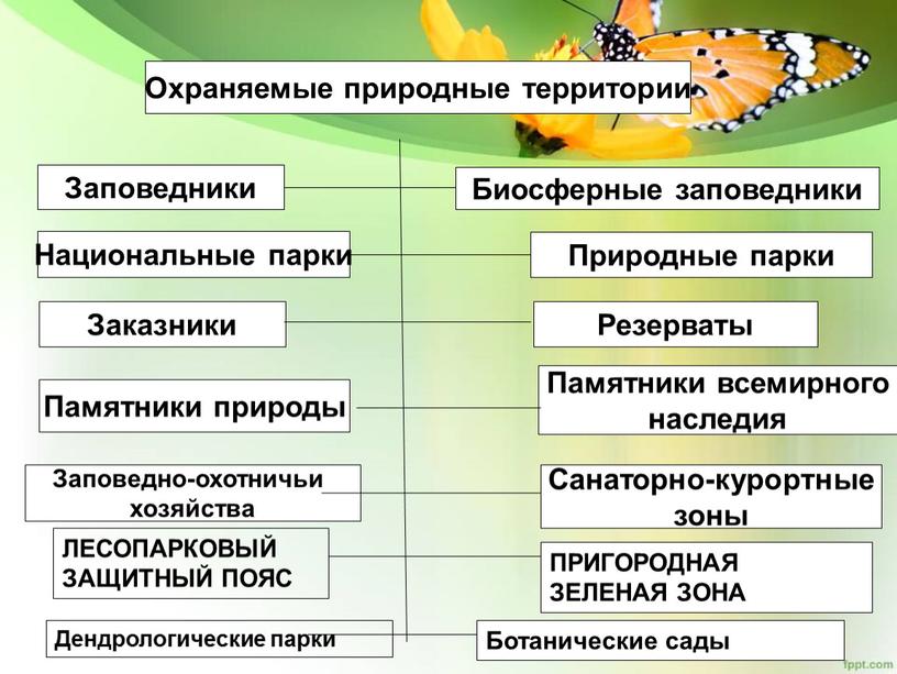 Охраняемые природные территории