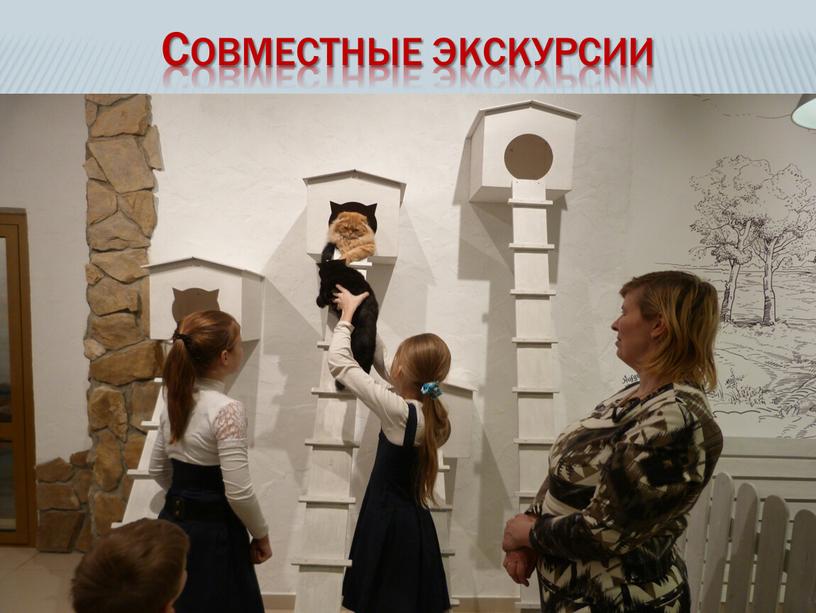 Совместные экскурсии