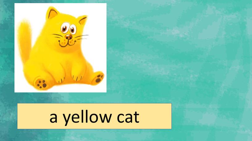 a yellow cat