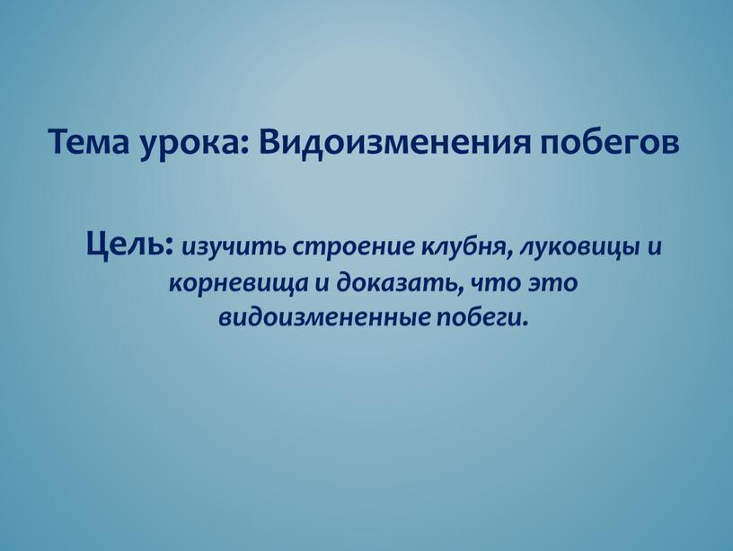 Тема урока: Видоизменения побегов