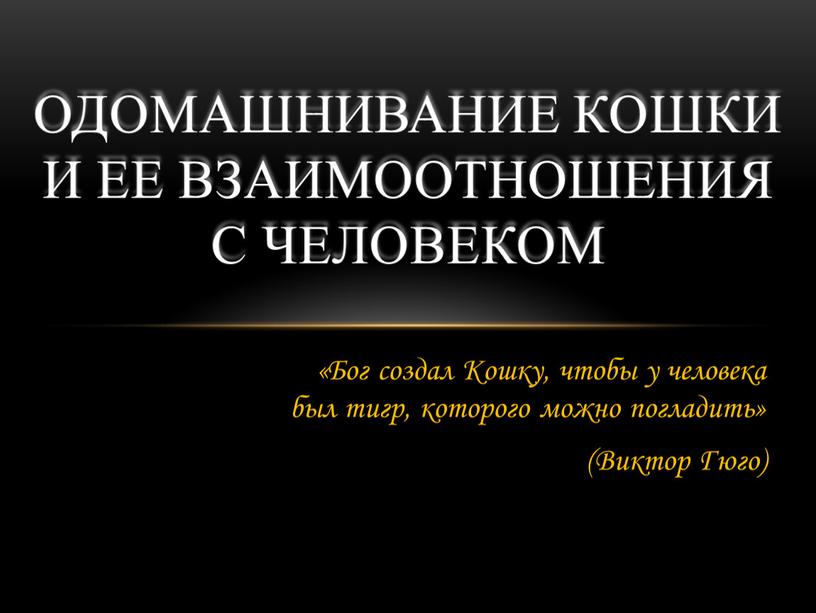 Бог создал Кошку, чтобы у человека был тигр, которого можно погладить» (Виктор