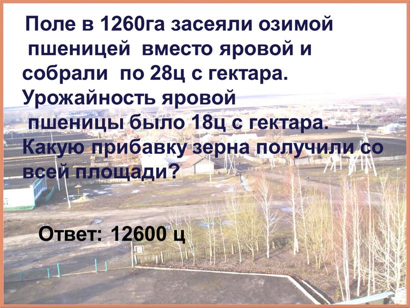 Поле в 1260га засеяли озимой пшеницей вместо яровой и собрали по 28ц с гектара