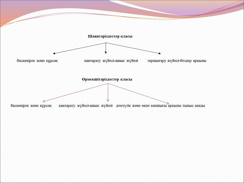 Шаянтәріздестер класы баскөкірек және құрсақ қантарату жүйесі-ашық жүйелі зәршығару жүйесі-бездер арқылы Өрмекшітәріздестер класы баскөкірек және құрсақ қантарату жүйесі-ашық жүйелі демтүтік және өкпе қапшығы арқылы тыныс…